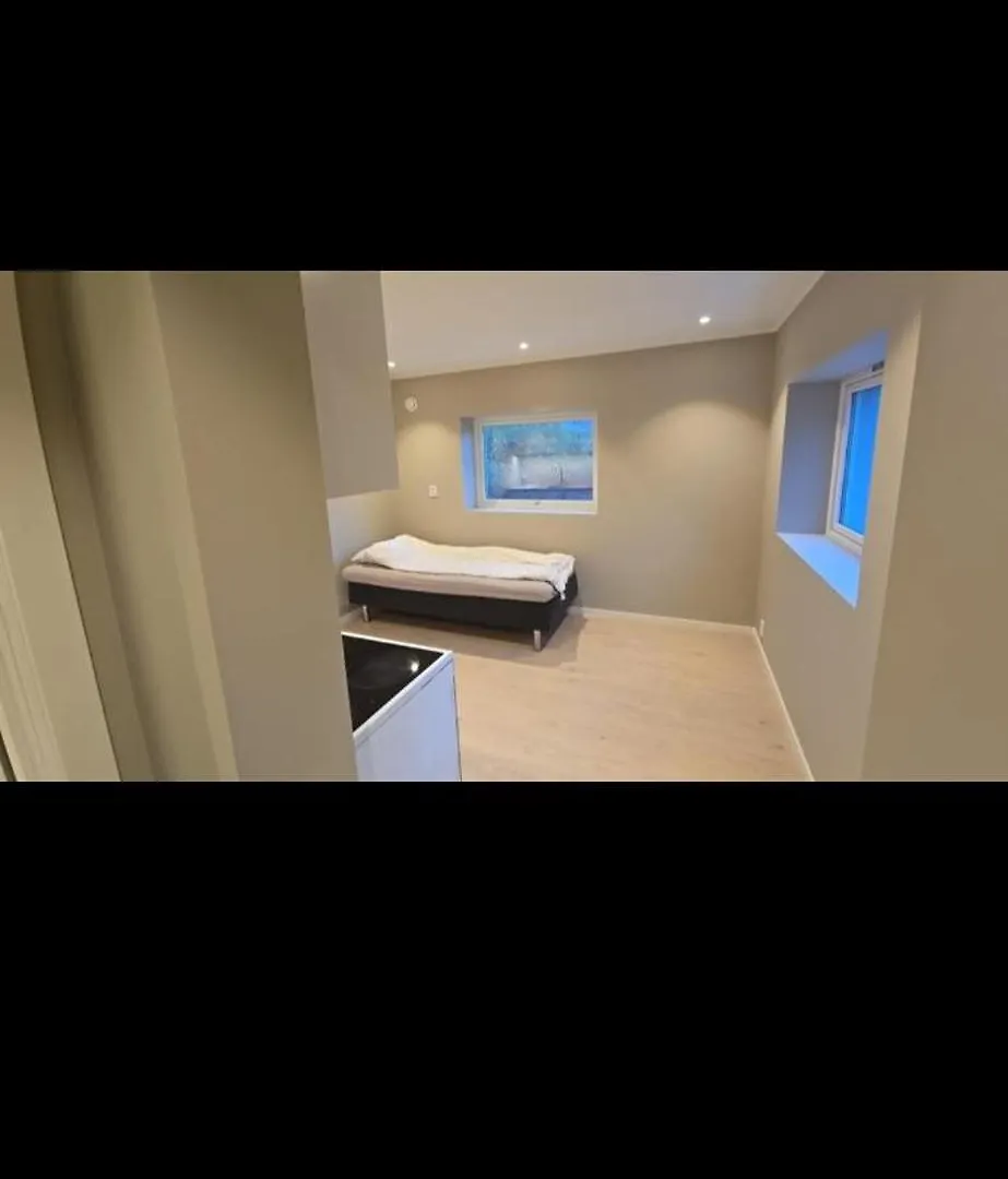 Cozy Studio Apartement Bergen Appartement